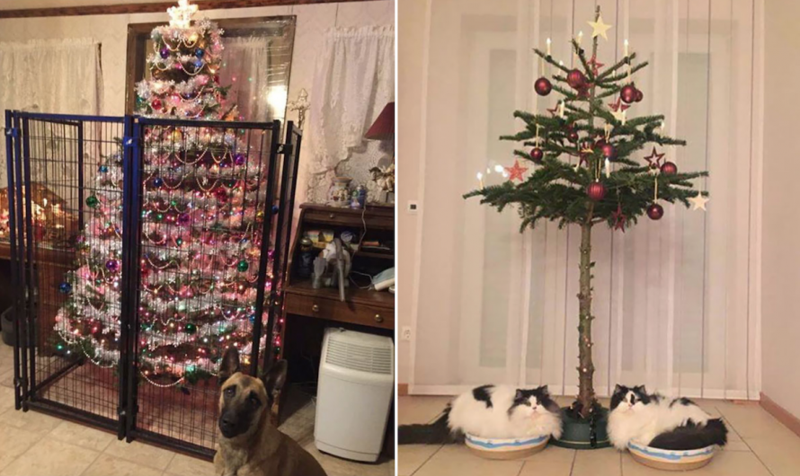 22 Fed Up Owners Who Discovered Clever Ways To Pet Proof The Christmas Tree
