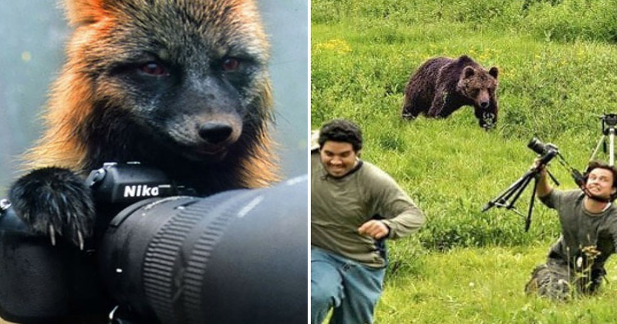 Camera Shy Creatures Who Truly Really Did Not Want Their Photos Taken