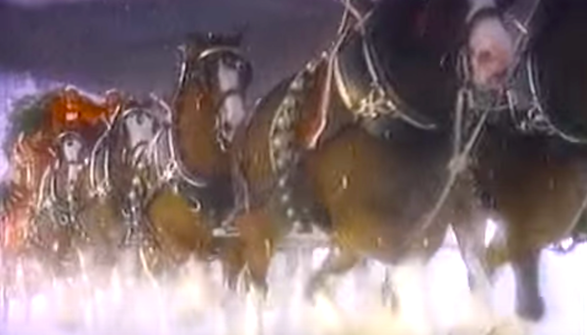 Clydesdale Xmas TV Clip From 1987 Has Lots Of Holiday Magic.