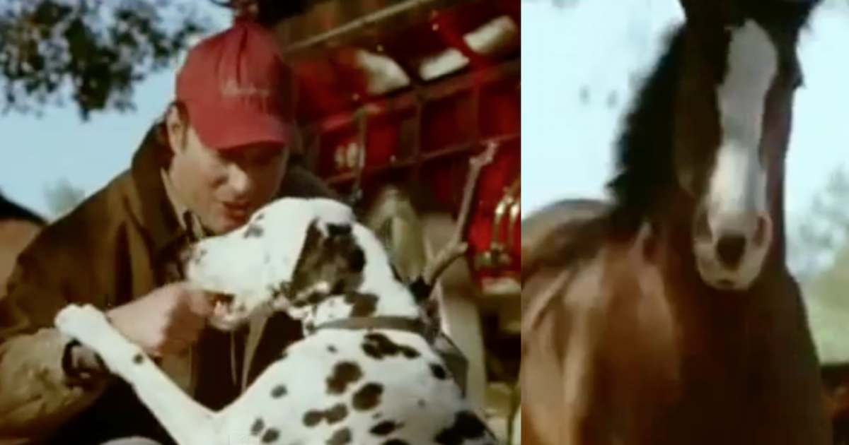 The Budweiser Super Dish commercials have always been popular thanks to the famous Clydesdales. The stunning monsters have a way of capturing a viewers unlike anything else! For this one, we go all the way back to 2009.