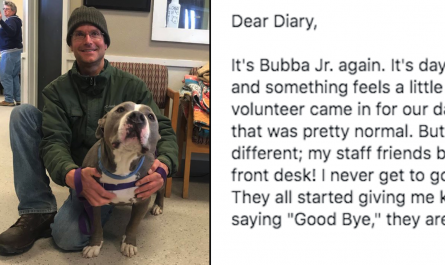 Dog's Journal Entry On Day 94 At The Shelter Describes His Favorite Volunteer Taking Him Home