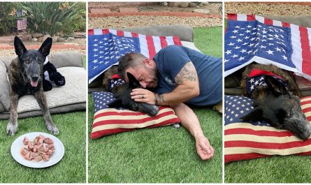 Navy SEAL Says Goodbye To Long Time K9 Companion And Friend