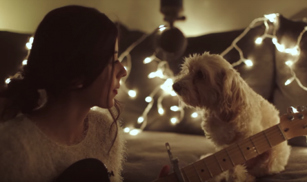 Woman Serenades Her Dog With A Gorgeous Christmas Tune.png