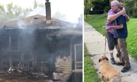 house catches fire with dog home alone complete stranger sees and runs inside