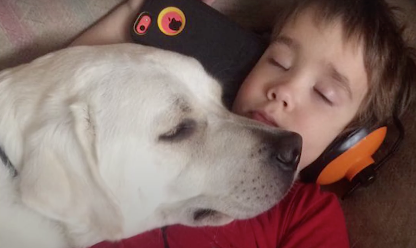 Autistic boy could not ever sleep, then someday a dog laid his head on him
