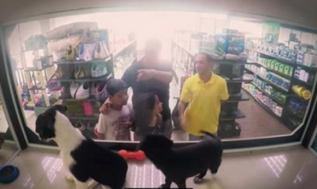 A pet shop changed all of its animals with rescues for just one day