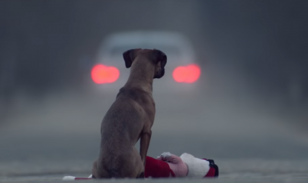 Brief Movie's Special And Powerful Statement On Pet Abandonment Really Hits Home