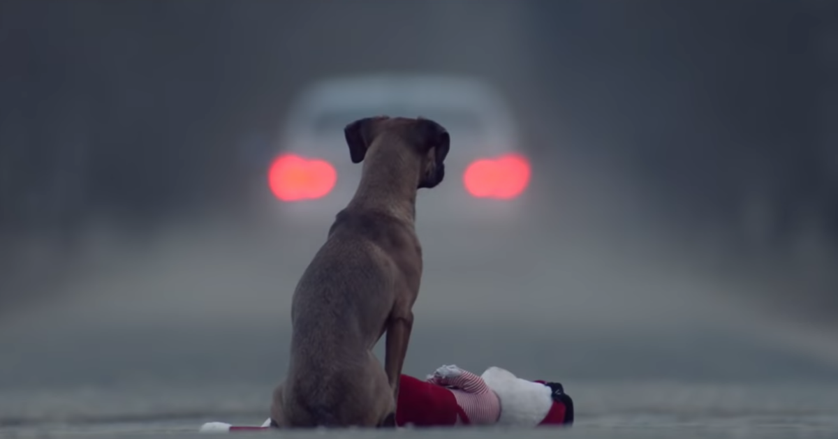 Brief Movie's Special And Powerful Statement On Pet Abandonment Really Hits Home