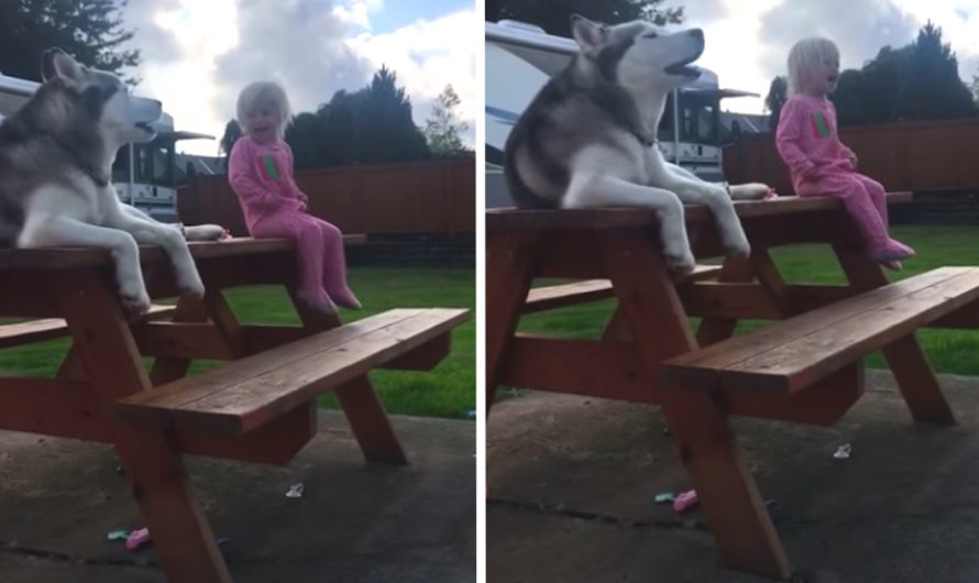 Dog And Little Girl Have Discussion In Their Own Language