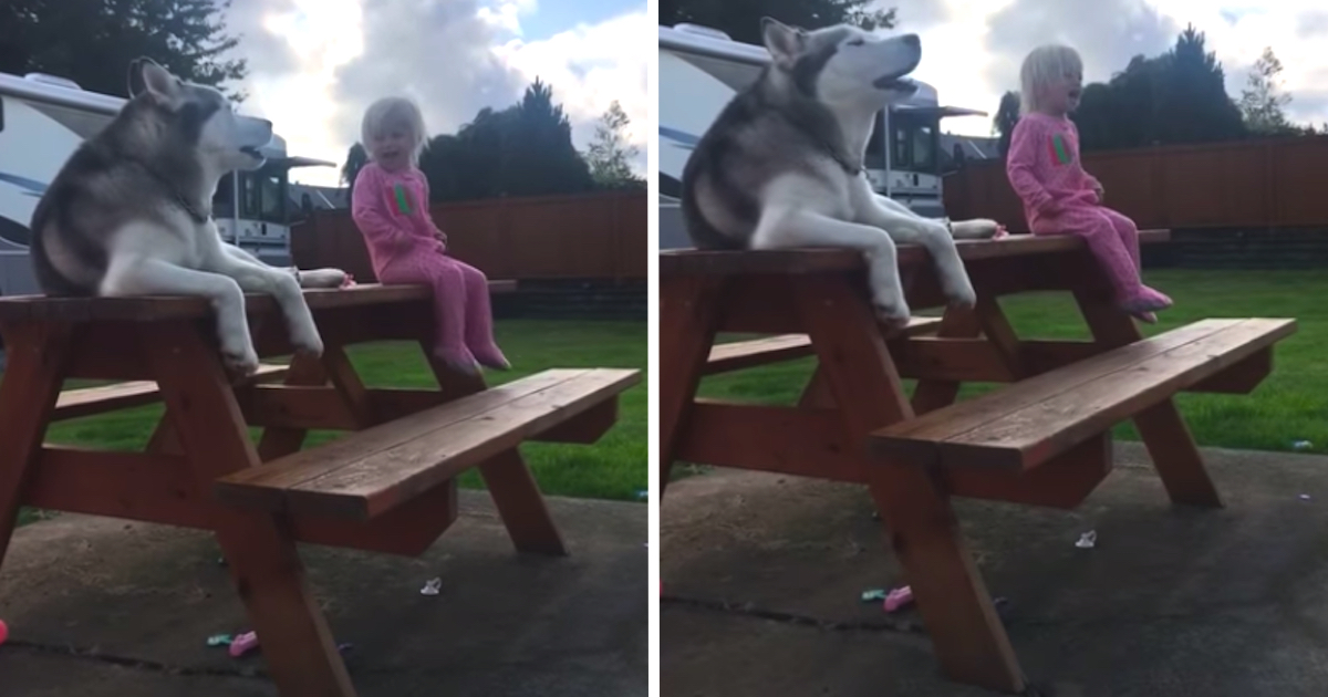Dog And Little Girl Have Discussion In Their Own Language
