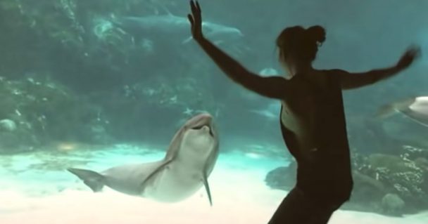 Girl Enters A Dance Off With A Dolphin, Has It Cracking Up