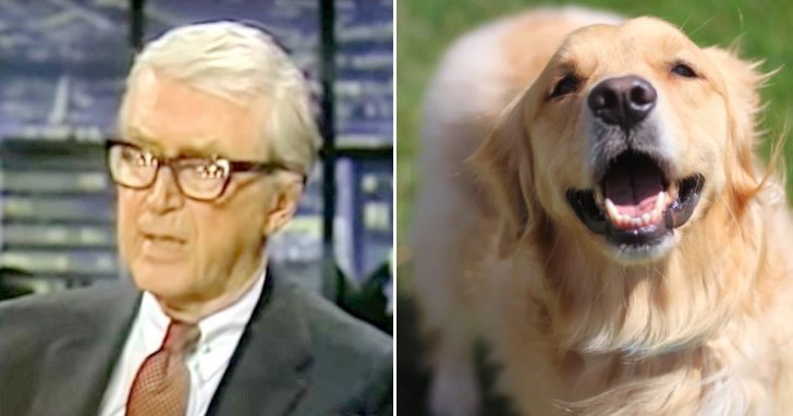Jimmy Stewart Reads Touching Poem He Wrote For His Old Dog Named Beau