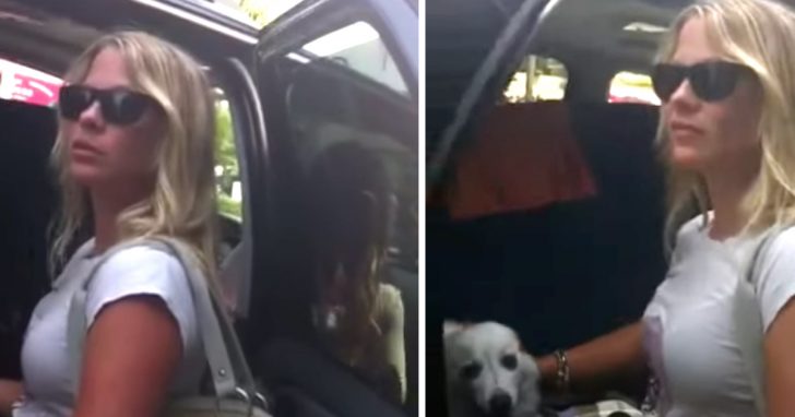 Lady Leaves Her Dog In The Car On A Hot Day, Confronts Those Who Tried To Help