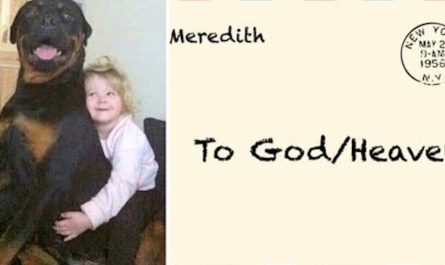 Little Girl Composes Letter To God Asking If Her Dog Arrived Safely To Paradise