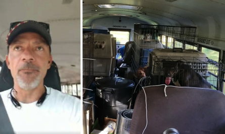 Man Purchases School Bus To Save Shelter Pets Left Behind Throughout The Hurricane
