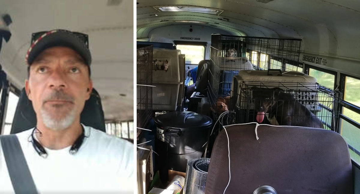 Man Purchases School Bus To Save Shelter Pets Left Behind Throughout The Hurricane