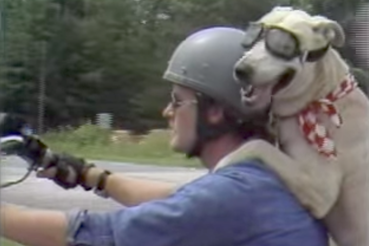 Man Traded A Beer For A Dog And Also Gained A Friend For The Road