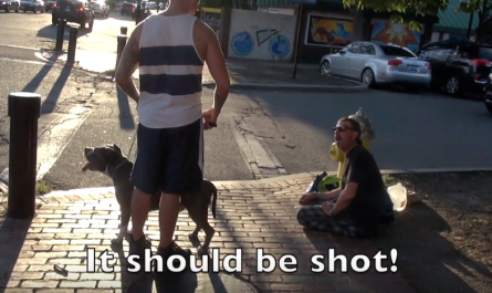 Man's hostile dog breed social experiment catches people's real feelings on camera