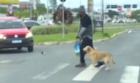 Selfless Dog Helps Disabled Man Cross The Street