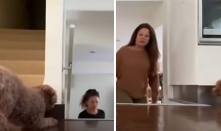 Sneaky Dog Always Terrifies Mother, Changes Sides To Catch Her Off Guard
