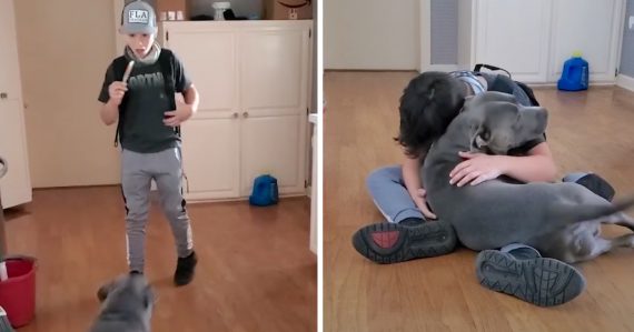 Boy Sees The Dog He Thought Was Gone For Good, Breaks Down