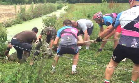 Cyclists Effort To Pull Out A Terrified Horse Out Of The Water