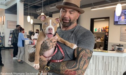 Dave Bautista Adopts Badly Abused Pit Bull Dog Found Eating Trash In Cemetery
