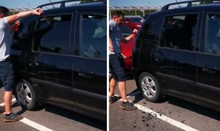 Good Samaritan Steps Up To Assist A Dog Stuck Inside A Hot Car