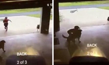 Little Kid Sneaks Into Neighbor's Garage Daily, Hugs Dog And Runs Away