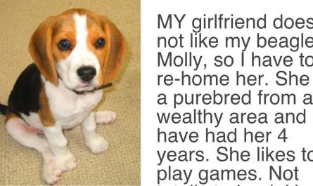 His girl does not like his dog and gave him the ultimatum of choosing between the two. After a great deal of idea, he posted this on Craigslist: