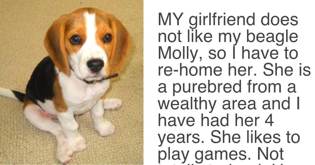 His girl does not like his dog and gave him the ultimatum of choosing between the two. After a great deal of idea, he posted this on Craigslist: