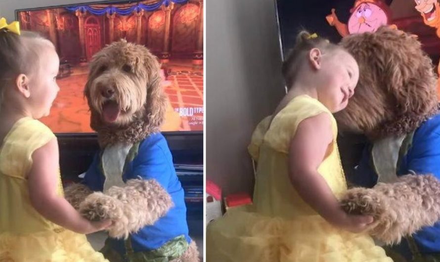 Toddler And Her Dog Recreate “Beauty And The Beast” Dance