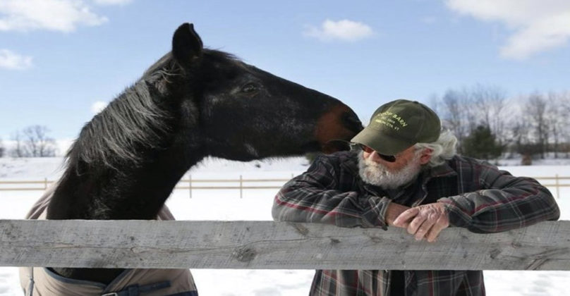 58 Year Old Man And Also 40 Year Old Horse Assistance Each Other Via Life's Challenges With Their Bond