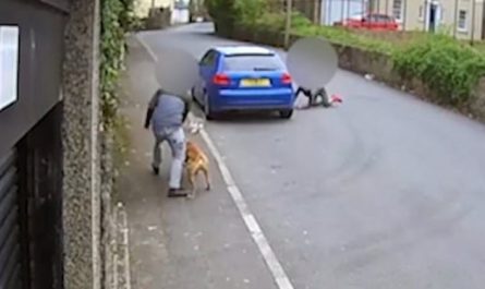 Camera Catches Teenagers Fooling Elderly Cat Into Being Mauled By Their Dog