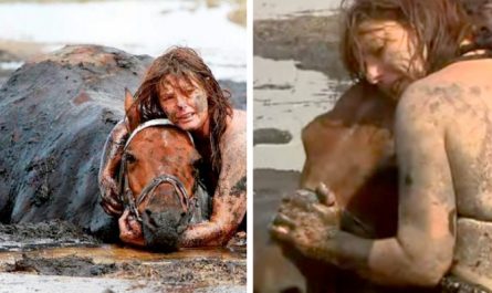 Lady holds on to her horse for 3 hours after 900 pound animal gets stuck in the mud