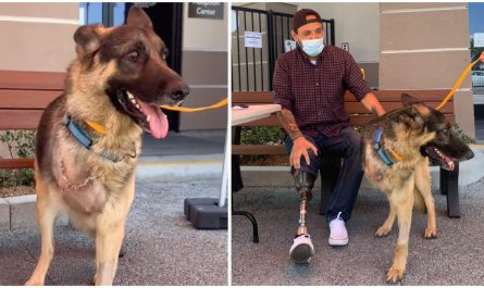 Rescue Dog With One Leg Amputated Adopted By A Veteran Who Has The Exact same Injury