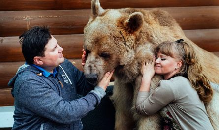 Russian couple adopted orphaned bear 23 years ago and they still live together