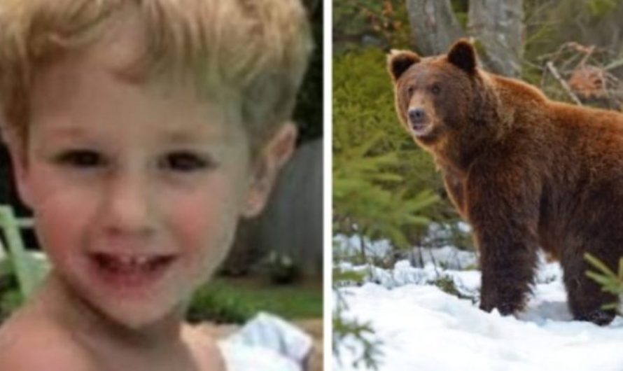 The 3 Year Old Kid Who Survived 2 Freezing Nights Claims That A Bear Helped Keep Him Warm