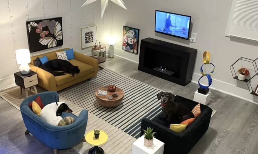 Guy Makes Mini Apartment For His Dogs Out Of An Extra Bed room