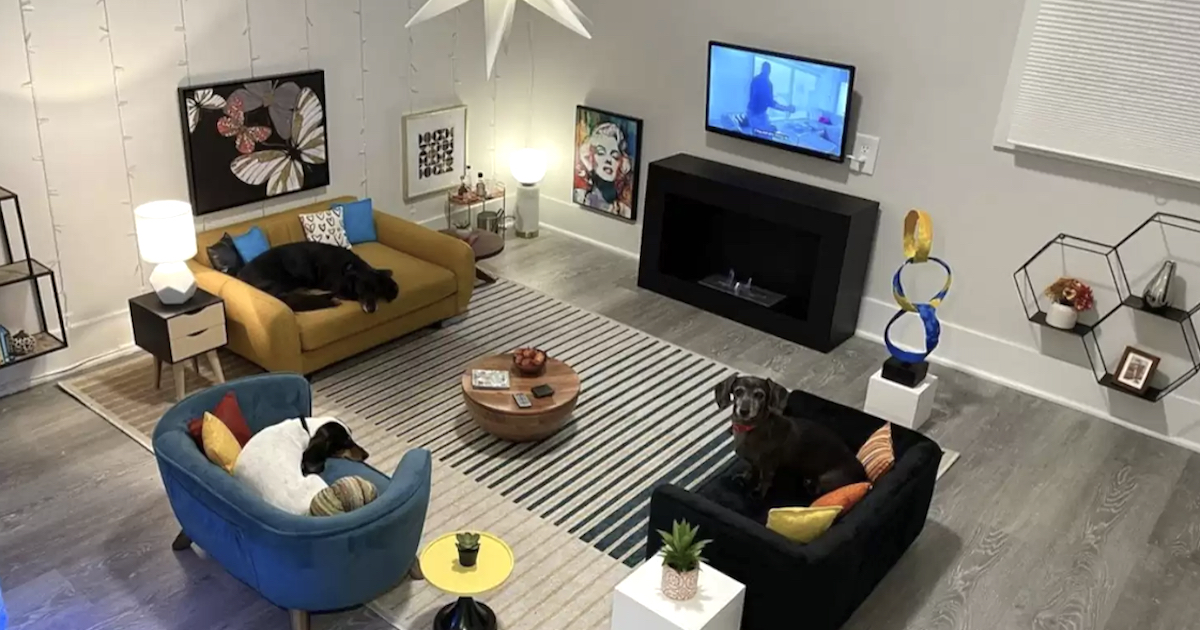Guy Makes Mini Apartment For His Dogs Out Of An Extra Bed room