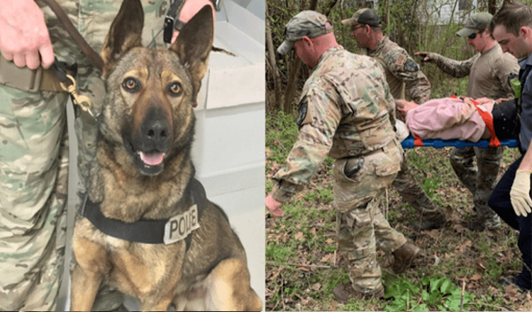 Hero German Shepherd finds 90 year old woman who was lost in the forest over night