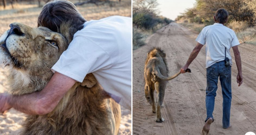 Over ten years Of Love And Friendship Between Leo And The Man Who Saved Him