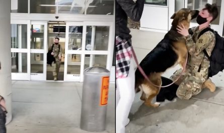 Soldier Goes out Of The Airport To The Dog She Hasn't Seen In So Long