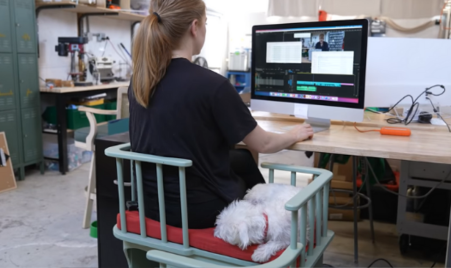 Woman Creates A Chair That Enables Needy Animals To Sit By You While You Work