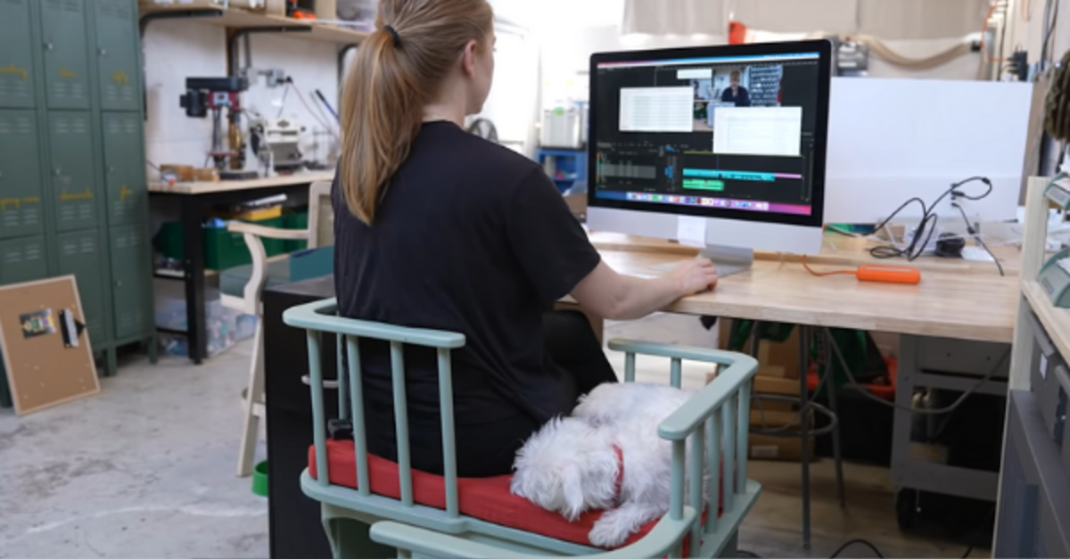 Woman Creates A Chair That Enables Needy Animals To Sit By You While You Work