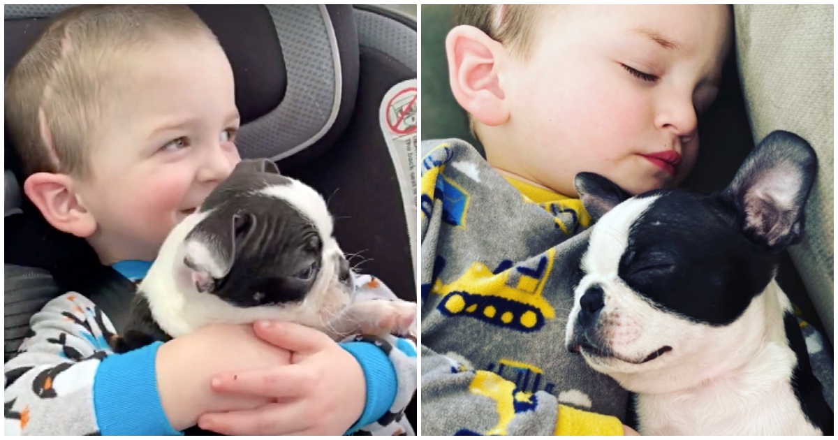 After Surviving Brain Surgery, His Mom Gave Him A New Puppy Who's Just Like Him