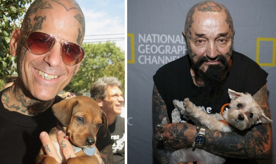 Biker Gang Destroys Dog Fight Rings And Saves Animals From Cruel Owners