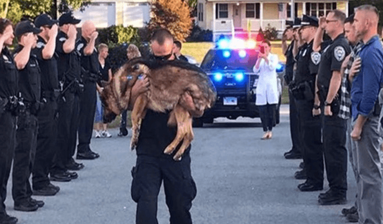 Police Officers Honor Loyal K-9 Officer With One Of The Most Touching Goodbye