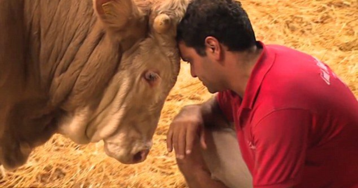 Bull's been imprisoned his entire life - the moment he's set free is gorgeous to behold