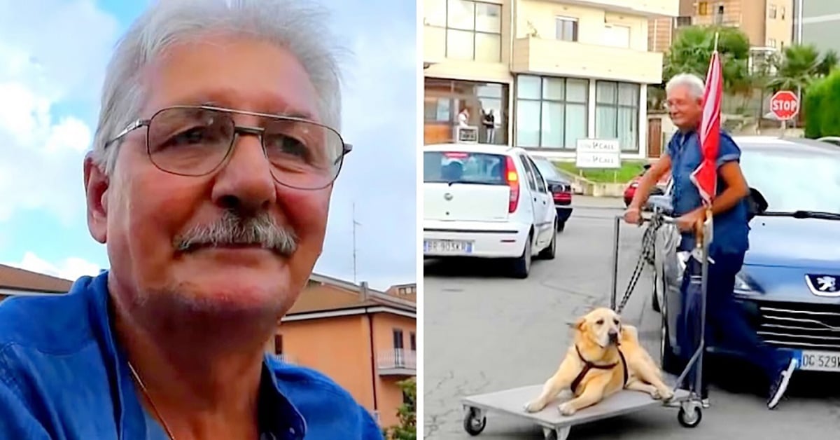Caring Man Walks Senior Dog With Arthritis In Cart Everyday To Ease Its Unhappiness